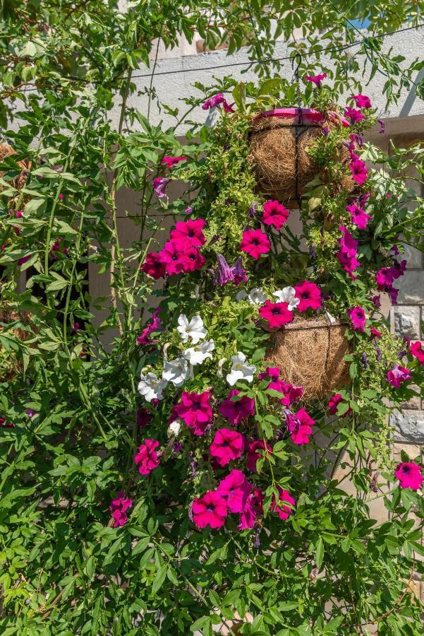 Apartments Vojin Trogir Luaran gambar